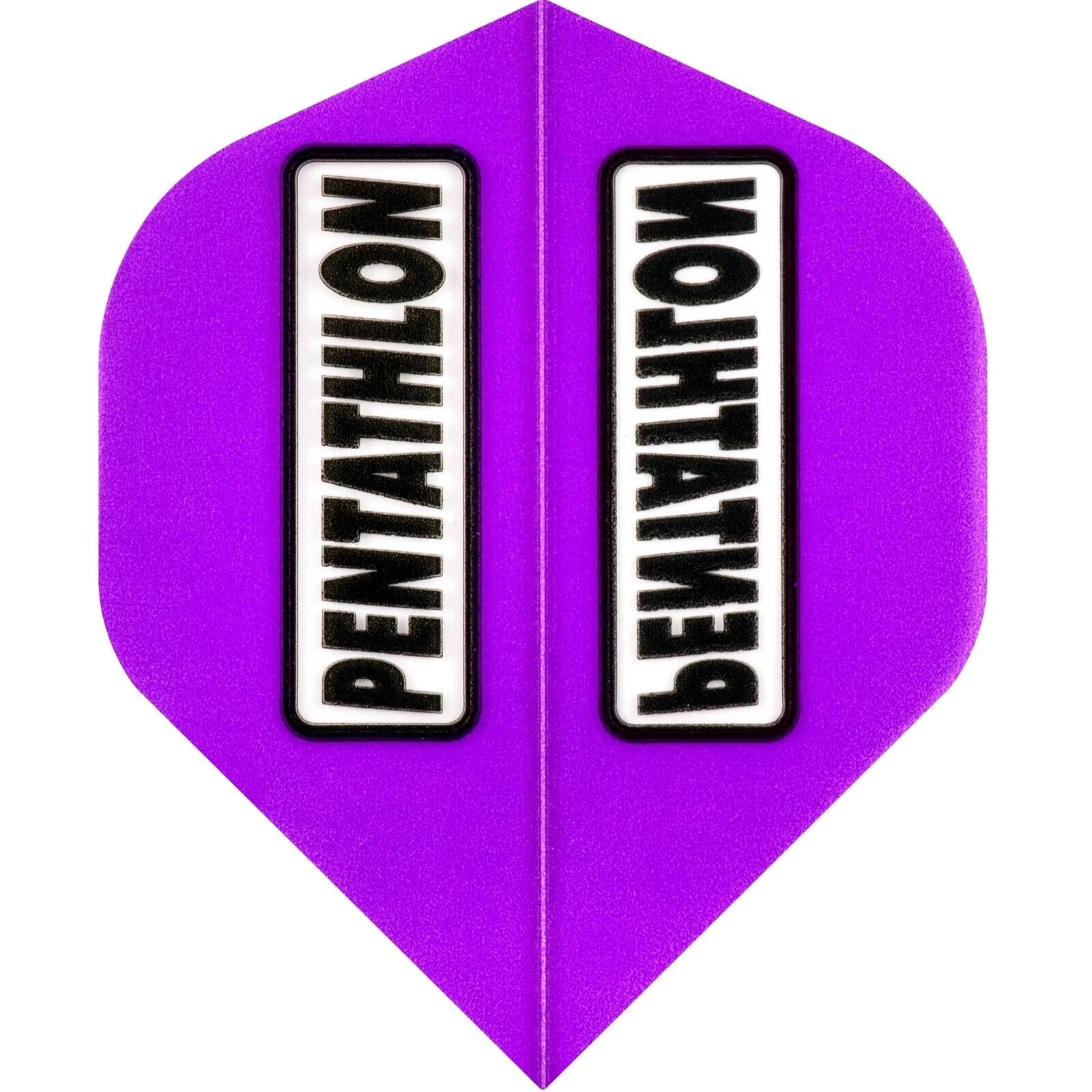 Pentathlon Colours Dart Flight Clear Window
