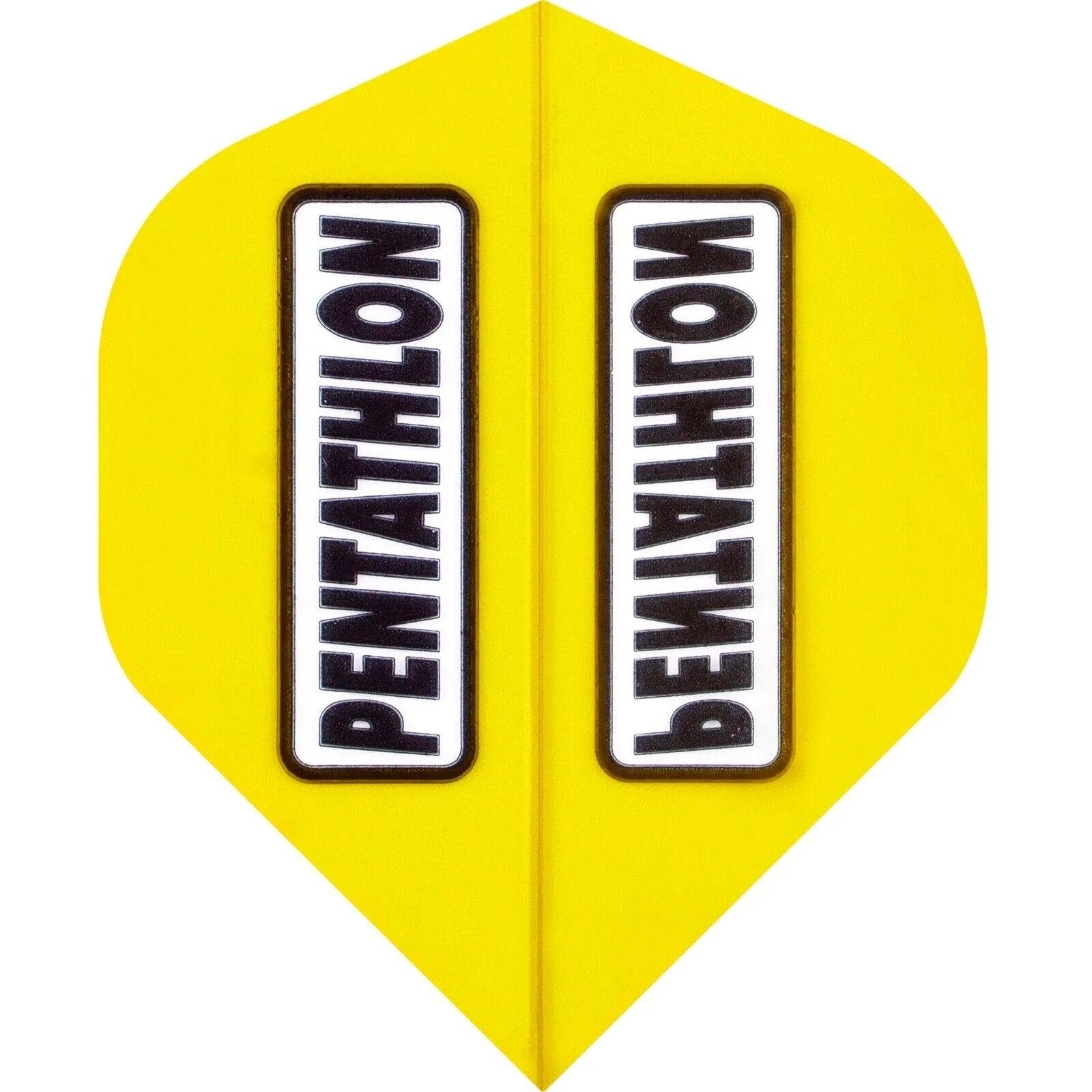 Pentathlon Colours Dart Flight Clear Window